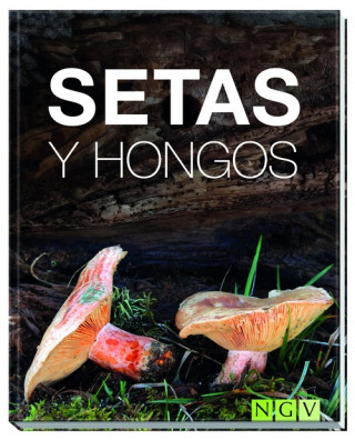 Book SETAS Y HONGOS 