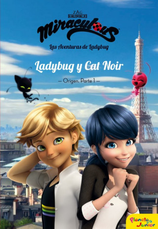 Carte LADYBUG Y CAT NOIR 