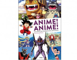 Buch ANIME ANIME: 100 AÑOS ANIMACIÓN JAPONESA DAVID HEREDIA