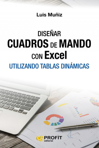 Kniha Diseñar cuadros de mando con Excel LUIS MUÑIZ
