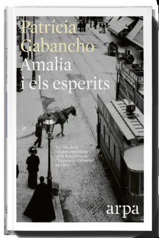 Könyv AMALIA I ELS ESPERITS PATRICIA GABANCHO