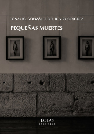 Knjiga PEQUEÑAS MUERTES IGNACIO GONZALEZ DEL REY RODRIGUEZ