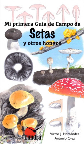 Kniha SETAS Y OTROS HONGOS VICTOR HERNANDEZ