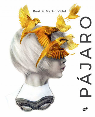 Boek PÁJARO BEATRIZ MARTIN VIDAL