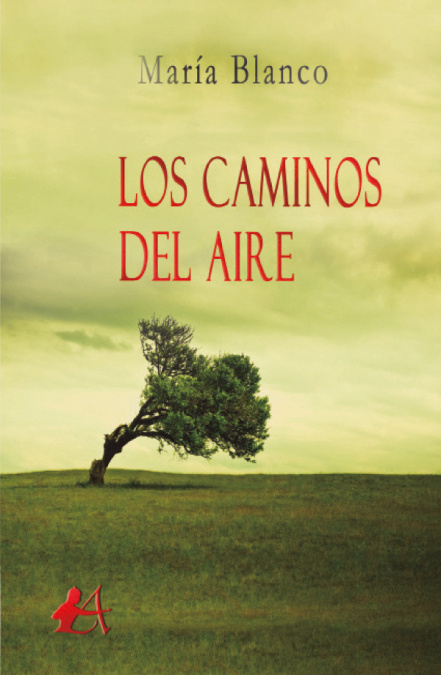 Kniha LOS CAMINOS DEL AIRE MARIA BLANCO