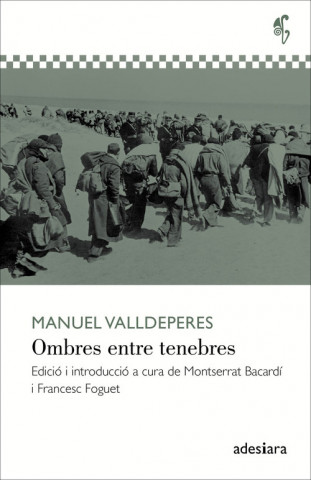 Kniha OMBRES ENTRE TENEBRES MANUEL VALLDEPERES