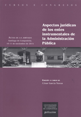 Könyv ASPECTOS JURÍDICOS ENTRE INSTRUMENTALES ADMINISTRACIÓN PÚBLICA 