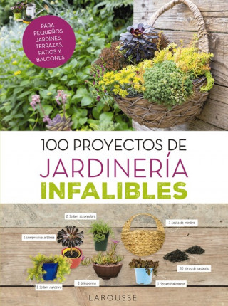 Kniha 100 PROYECTOS DE JARDINERÍA INFALIBLES CATHERINE DELVAUX