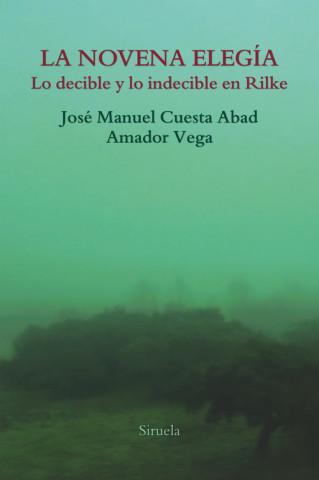 Buch LA NOVENA ELEGÍA Amador Vega Esquerra