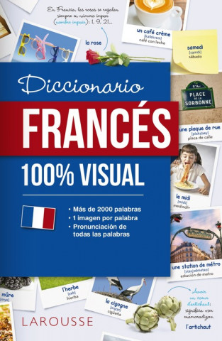 Carte DICCIONARIO DE FRANCÈS 100% VISUAL 