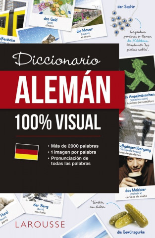Carte DICCIONARIO DE ALEMÁN 100% VISUAL 