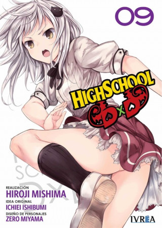 Kniha HIGHSCHOOL DXD 9 HIROJI MISHIBA