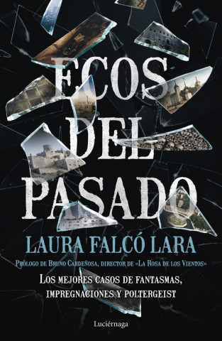 Kniha ECOS DEL PASADO LAURA FALCO