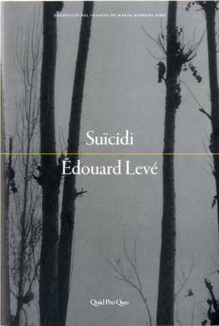 Boek SUÏCIDE EDOUARD LEVE