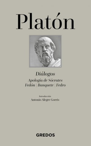 Książka DIALOGOS PLATON