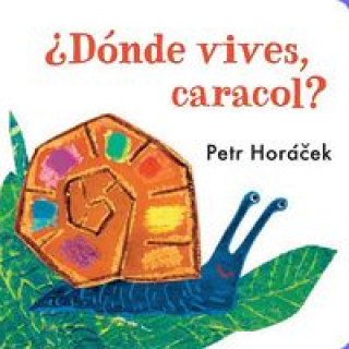 Könyv ¿Donde vives, caracol? PETR HORACEK