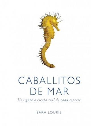 Könyv CABALLITOS DE MAR SARA LOURIE