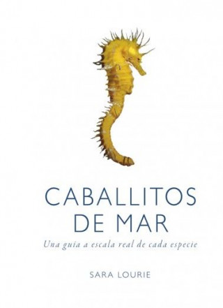 Carte CABALLITOS DE MAR SARA LOURIE