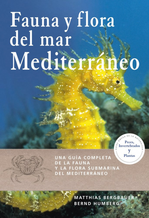 Kniha FAUNA Y FLORA DEL MAR MEDITERRÁNEO MATTHIAS BERGBAUER