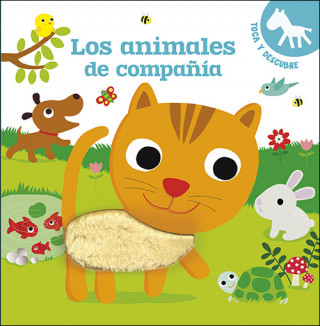 Kniha Los animales de compañía VIRGINIE GRAIRE