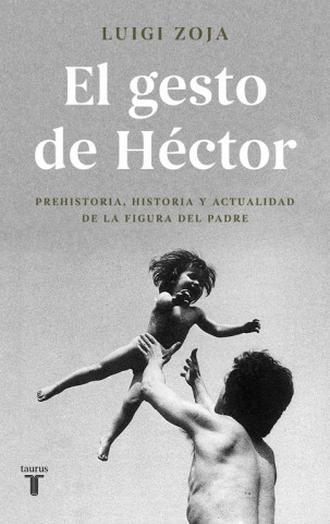 Книга EL GESTO DE HECTOR LUIGI ZOJA