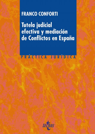 Kniha TUTELA JUDICIAL EFECTIVA Y MEDIACIÓN DE CONFLICTOS EN ESPAÑA FRANCO CONFORTI