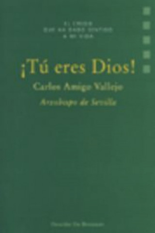 Knjiga ítu eres dios! CARLOS AMIGO