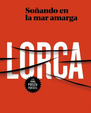 Könyv SOÑANDO EN LA MAR AMARGA FEDERICO GARCIA LORCA