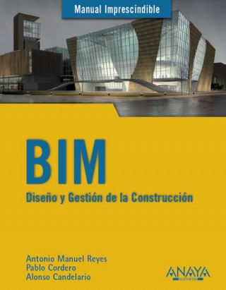 Kniha BIM 