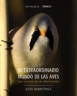 Kniha EL EXTRAORDINARIO MUNDO DE LAS AVES LUIS MARTINEZ
