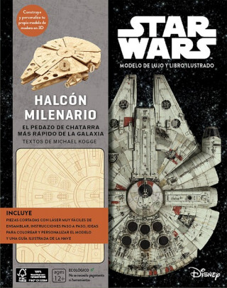 Libro KIT HALCON MILENARIO MICHAEL KOGGE