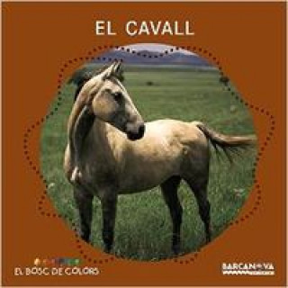 Boek El cavall ESTEL BALDO