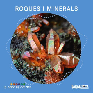 Buch Roques i minerals ESTEL BALDO