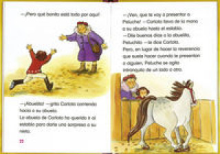 Libro El timbaler del bruc Abad