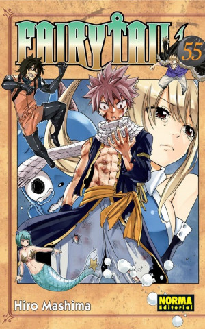 Buch FAIRY TAIL HIRO MASHIMA