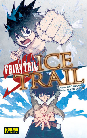 Kniha FAIRY TAIL ICE TRAIL YUSUKE SHIRATO HIRO MASHIMA