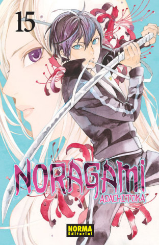 Boek NORAGAMI 15 ADACHITOKA