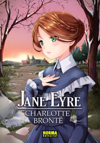 Buch JANE EYRE CHARLOTE BRONTE