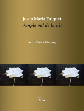 Könyv AMPLE VOL DE LA NIT JOSEP MARIA FULQUET