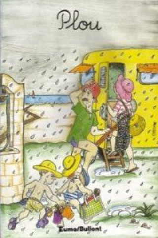 Libro Plou ADELINA PALACIN