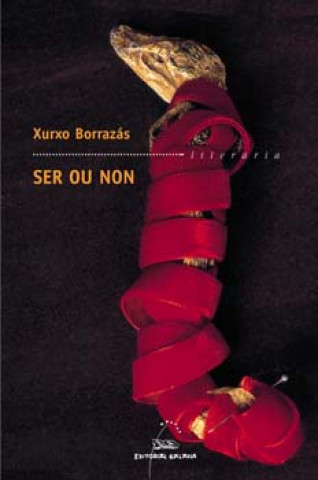 Könyv Ser ou non XURXO BORRAZAS