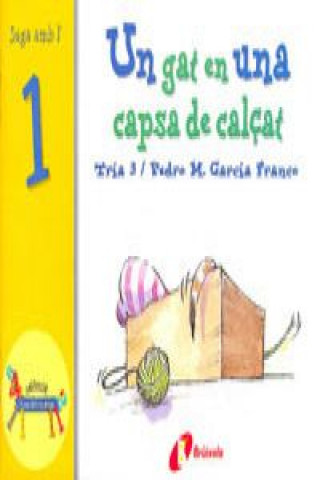 Kniha Un gat en una capsa de calçat PEDRO MARIA GARCIA FRANCO