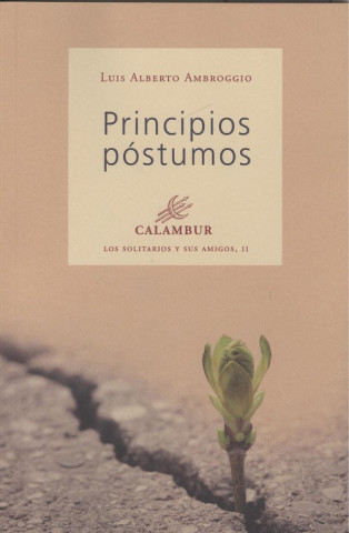 Book PRINCIPIOS POSTIUMOS LUIS ALBERTO AMBROGGIO