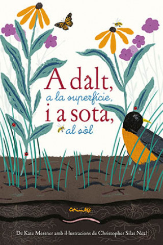 Kniha ADALT A LA SUPERFÍCIE I A SOTA AL SOL KATE MESSNER
