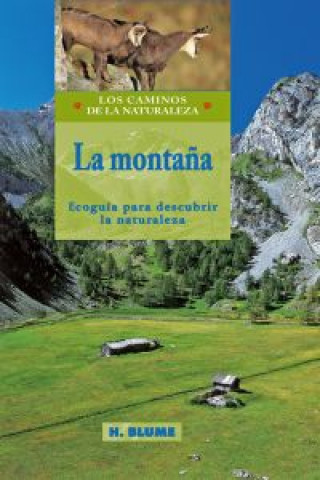 Книга MontaÑa 