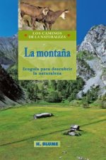 Könyv MontaÑa 