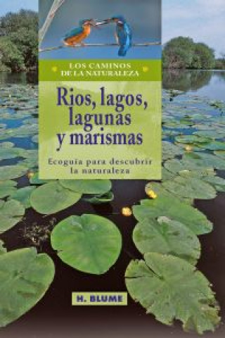 Carte Rios, lagos, lagunas y marismas 