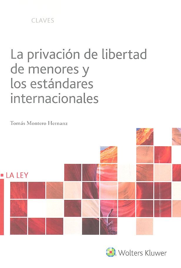 Carte LA PRIVACIÓN DE LIBERTAD DE MENORES Y ESTANDARES INTENACIONALES 