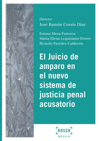 Kniha ASPECTOS REGISTRALES DEL PROCESO DE EJECUCIÓN RAFAEL A. RIVAS TORRALVA