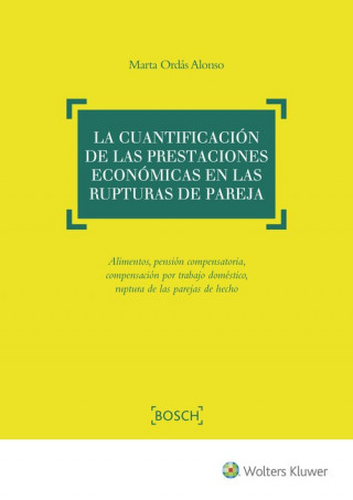 Kniha EL JUICIO VERBAL DE DESAHUCIO Y EL DESALOJO DE VIVIENDAS OKUPADAS 